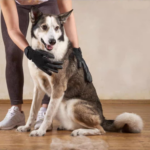 Set 2 Manusi Perii De Ingrijire Si Curatare Caini, Pisici Si Alte Animale De Companie PETU, Periaj Si Masaj, Prindere Velcro, 25.5 X 13.5 Cm, Negru