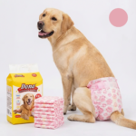 Scutece de unică folosință pentru câini femele, mărime XXL (40–63 cm), protecție antiscurgere, set 8 bucăți